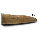 Moose Antler Tips - Maker Material Supply
