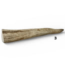Moose Antler Tips - Maker Material Supply