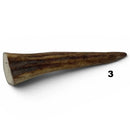 Moose Antler Tips - Maker Material Supply