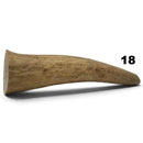 Moose Antler Tips - Maker Material Supply