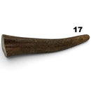 Moose Antler Tips - Maker Material Supply