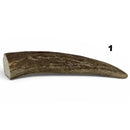 Moose Antler Tips - Maker Material Supply