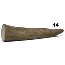 Moose Antler Tips - Maker Material Supply