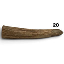 Moose Antler Tips - Maker Material Supply