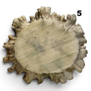 Moose Crown MedallionHobbies & Creative Arts.37" x 2.2"-