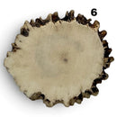 Moose Crown MedallionHobbies & Creative Arts.44" x 1.8"-