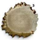 Moose Crown MedallionHobbies & Creative Arts.47" x 2.2"-