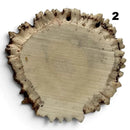 Moose Crown Medallion - Maker Material Supply