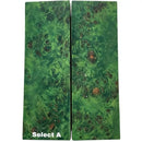 Poplar Burl- GREEN- Raffir® Wood - Maker Material Supply