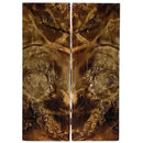 Poplar Burl Scales & Blocks- BROWN- Raffir® Wood - Maker Material Supply