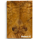 Poplar Burl Scales & Blocks- ORANGE- Raffir® WoodHobbies & Creative Arts.29" x 1.7" x 5.0"- Scales- Select C