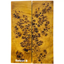 Poplar Burl- YELLOW- Raffir® Wood - Maker Material Supply