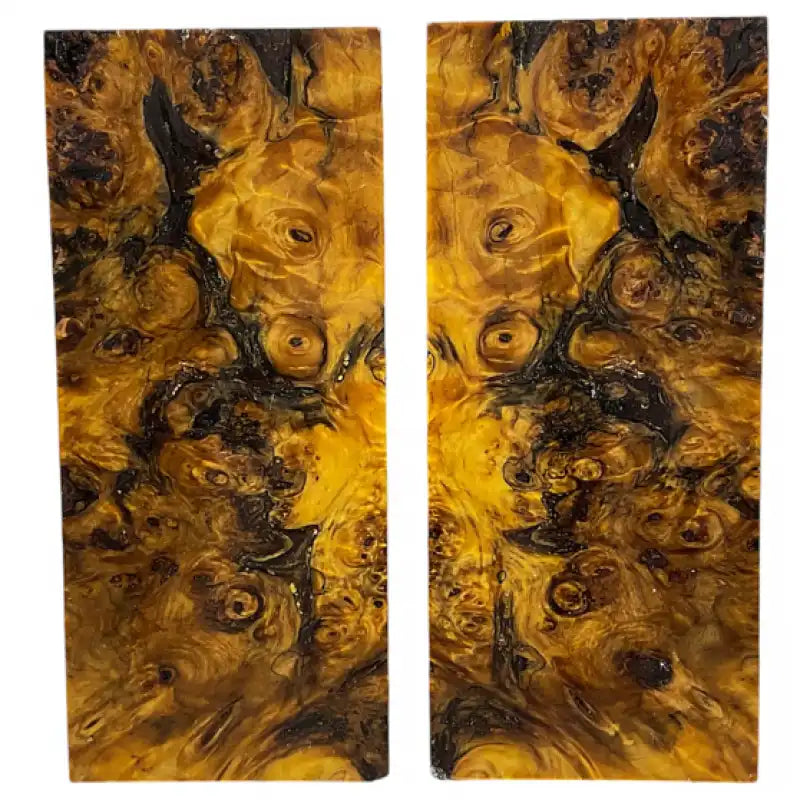 Poplar Burl- YELLOW- Wood by Raffir® - Maker Material Supply