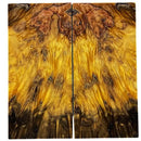 Poplar Burl- YELLOW- Raffir® Wood - Maker Material Supply