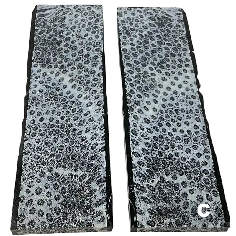 Raffir® Fossil Brain Coral- BLACK - Maker Material Supply