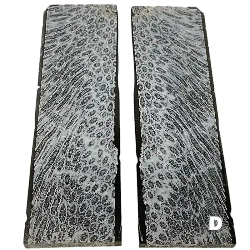 Raffir® Fossil Brain Coral- BLACK - Maker Material Supply