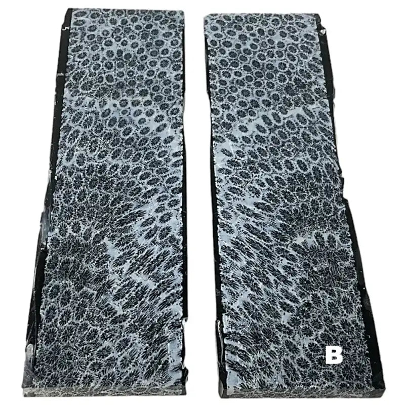 Raffir® Fossil Brain Coral- BLACK - Maker Material Supply