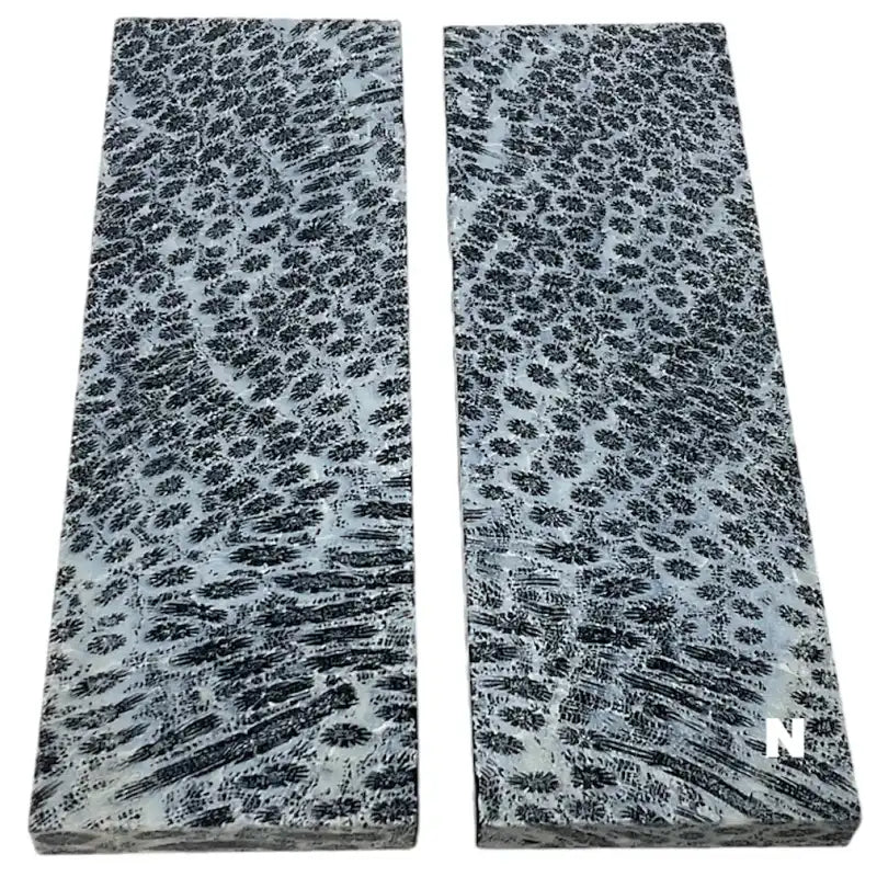 Raffir® Fossil Brain Coral- BLACK - Maker Material Supply