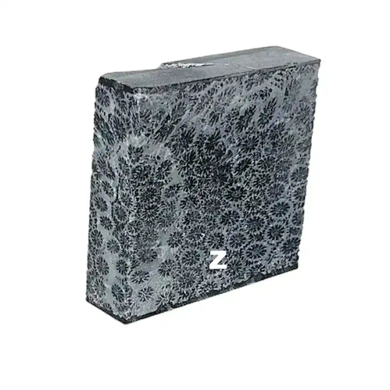 Raffir® Fossil Brain Coral- BLACK - Maker Material Supply