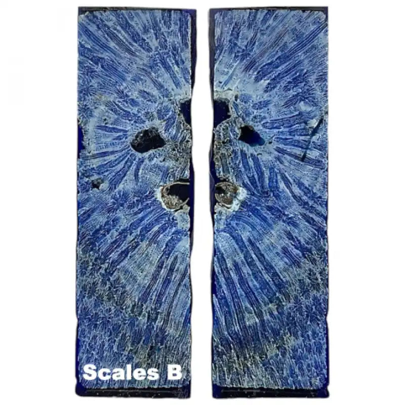 Raffir® Fossil Brain Coral- BLUE - Maker Material Supply