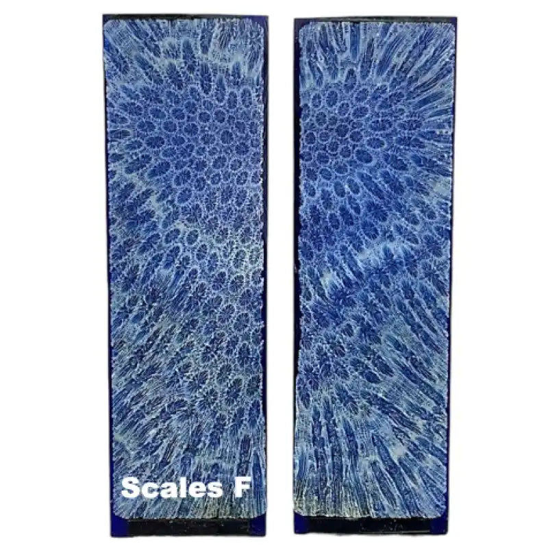 Raffir® Fossil Brain Coral- BLUE - Maker Material Supply