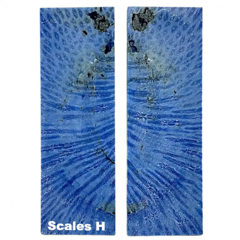 Raffir® Fossil Brain Coral- BLUE - Maker Material Supply