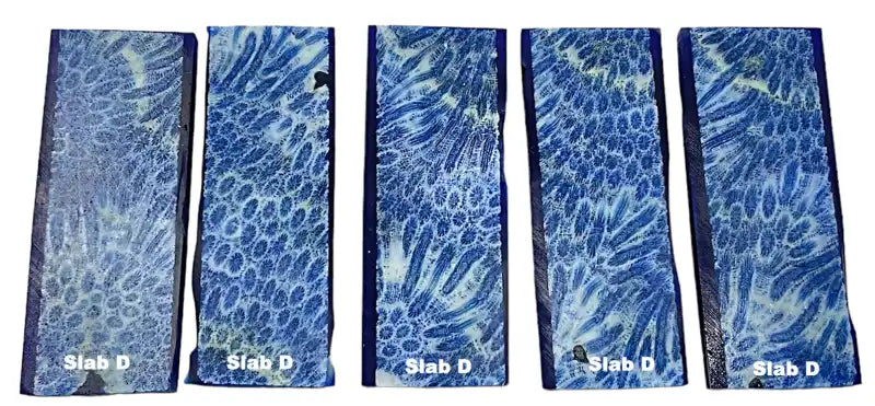 Raffir® Fossil Brain Coral- BLUE - Maker Material Supply