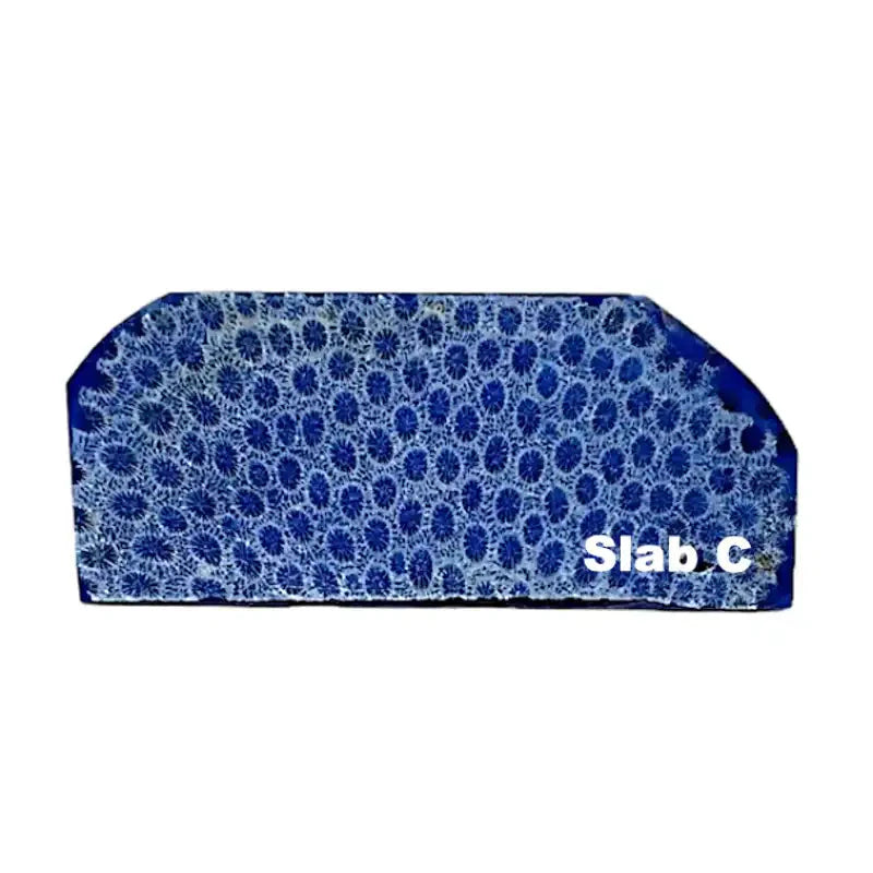 Raffir® Fossil Brain Coral- BLUE - Maker Material Supply