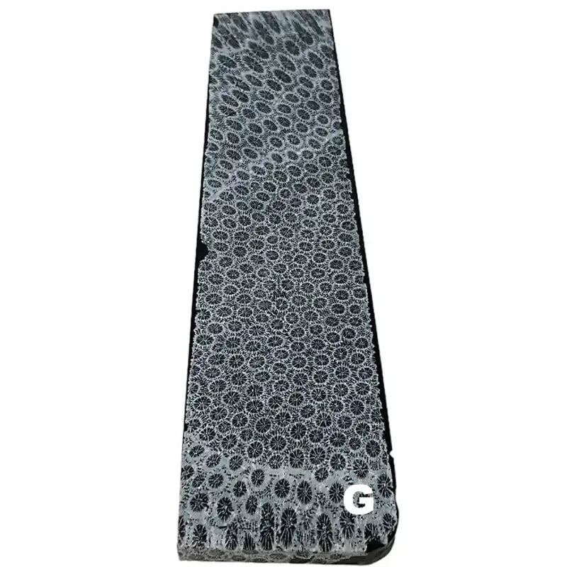 Raffir® Fossil Brain Coral- BLACK - Maker Material Supply