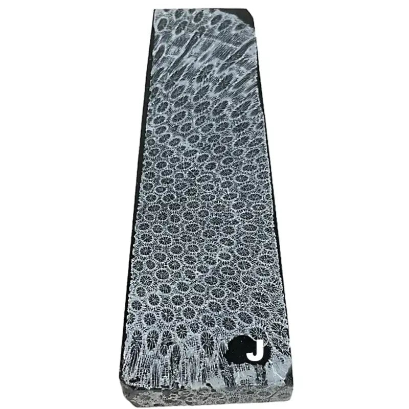 Raffir® Fossil Brain Coral- BLACK - Maker Material Supply