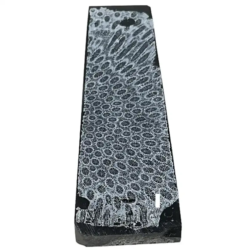 Raffir® Fossil Brain Coral- BLACK - Maker Material Supply