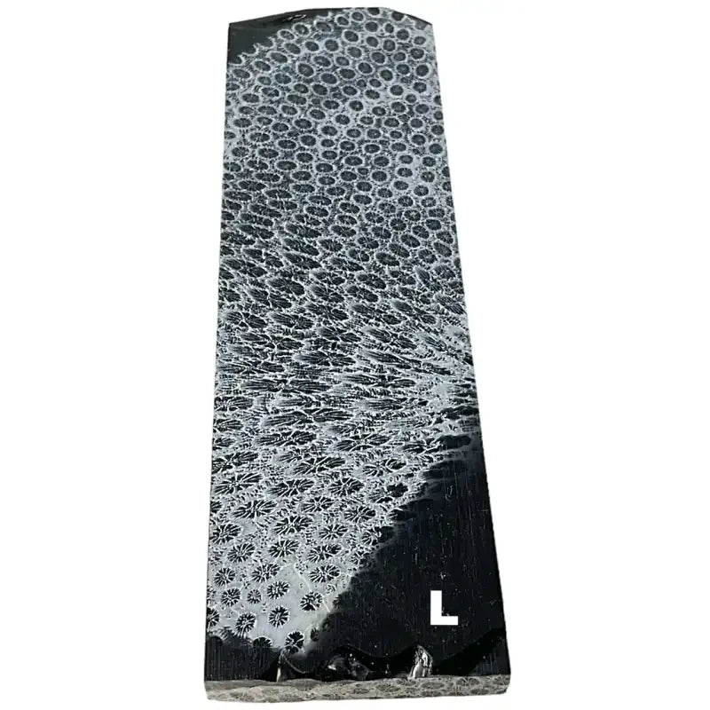 Raffir® Fossil Brain Coral- BLACK - Maker Material Supply
