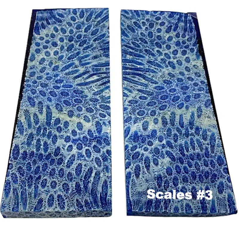 Raffir Fossil Brain Coral- Slab, Scales & Block- BLUE - Maker Material Supply