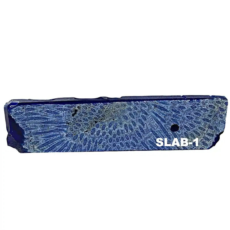 Raffir Fossil Brain Coral- Slabs/Jewelry Tiles- BLUE - Maker Material Supply