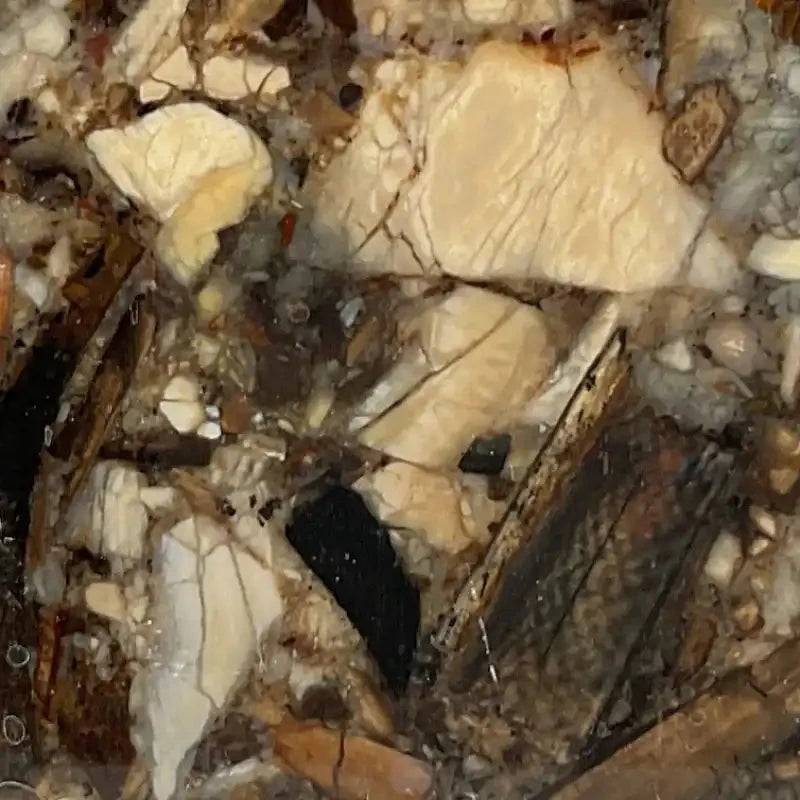 Raffir® Mammoth Fusion- Mammoth Ivory- Slabs, Scales & Blocks - Maker Material Supply