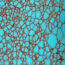 TruStone- Turquoise with Copper Web - 1.5" x 6" - Maker Material Supply