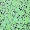 TruStone- Varasite Web - 1.5" x 6"Hobbies & Creative Arts3/16" x 1.5" x 6"