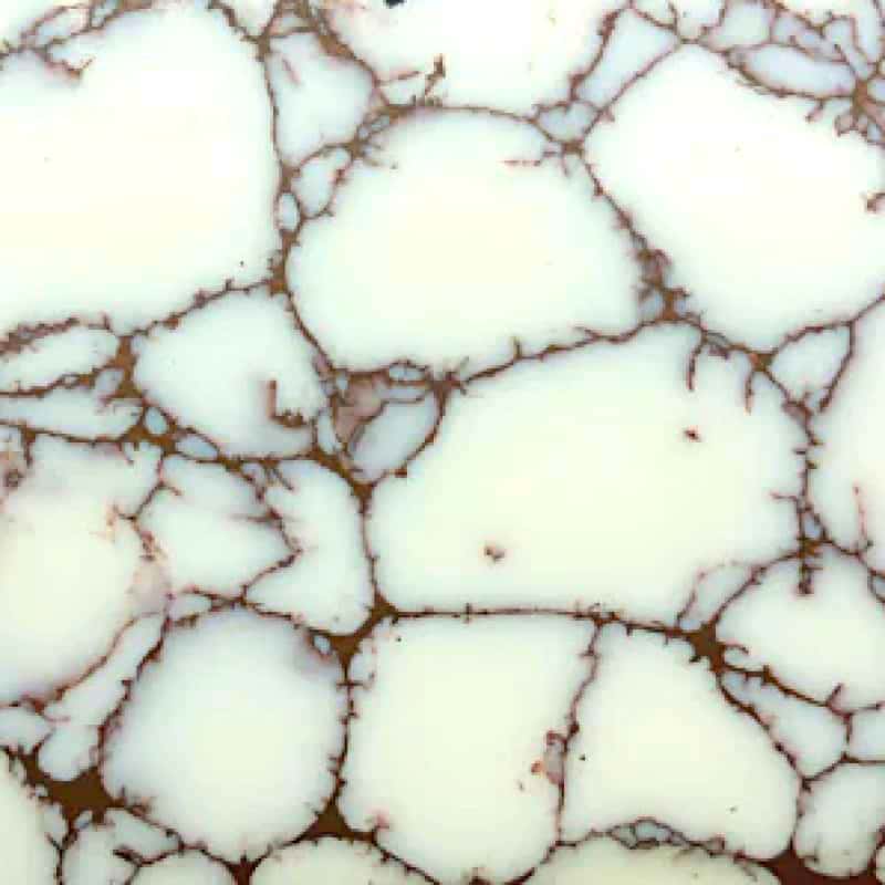 TruStone- White with Copper Matrix - 1.5