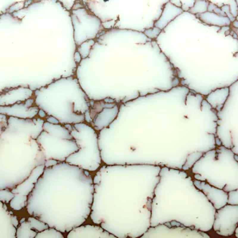 TruStone- White with Copper Matrix - 1.5" x 6"- 1 Piece - Maker Material Supply