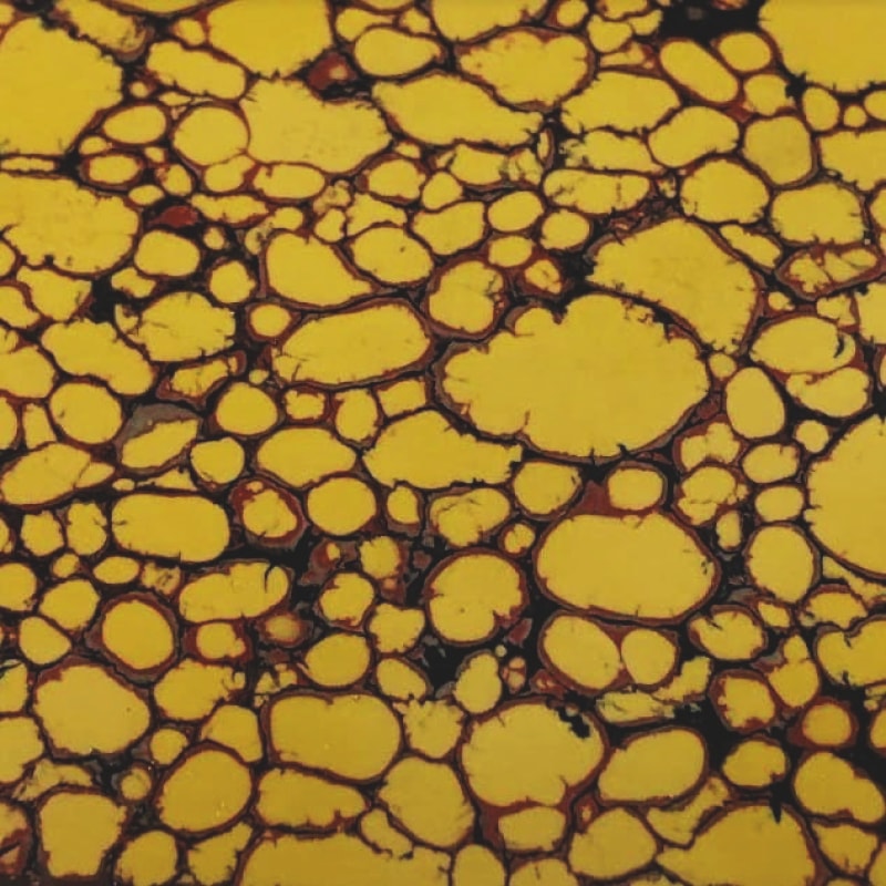 Composite Ship Examples TruStone®- Yellow Dino Bone - 1.5